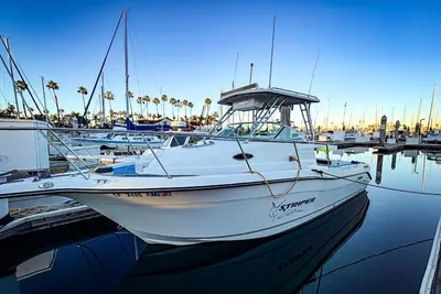 Seaswirl Striper 2601 Walkaround I/O