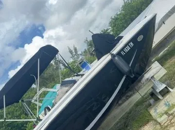 Bayliner Element M17