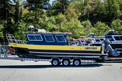 North River 3100SXL