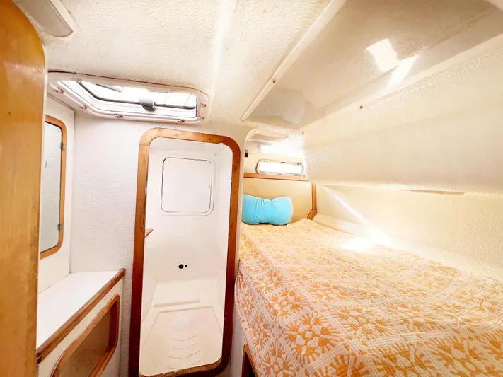 Majestic Yacht Photos Pics 