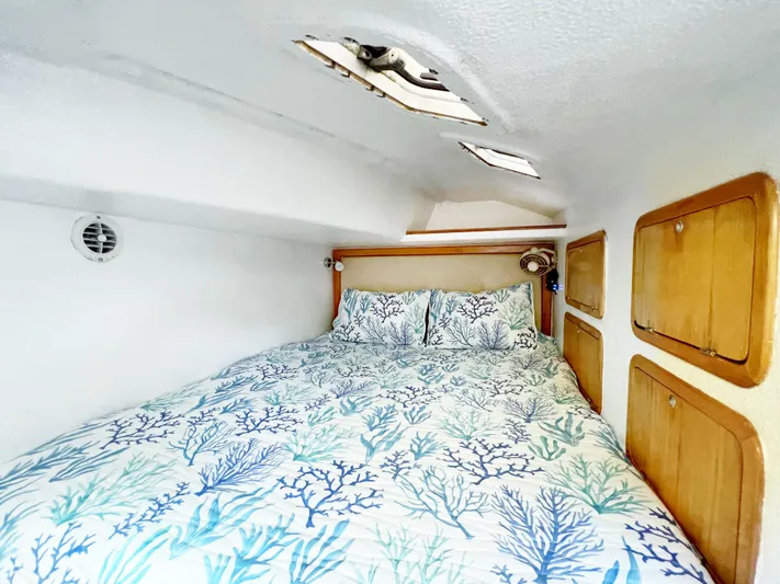 Majestic Yacht Photos Pics 