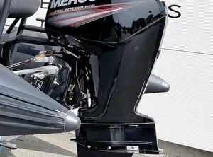 2017 Mercury F115 CT XL