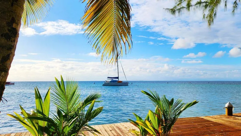 Guiding Light Yacht Photos Pics Sailboat on tranquil ocean, framed by palm trees and wooden deck, under a clear blue sky.