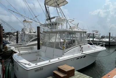 1993 Luhrs Tournament 290 Open
