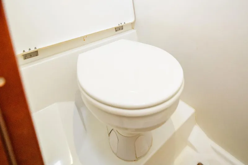 Wanderer Yacht Photos Pics 2016 Beneteau Swift Trawler 44 bathroom with white toilet.