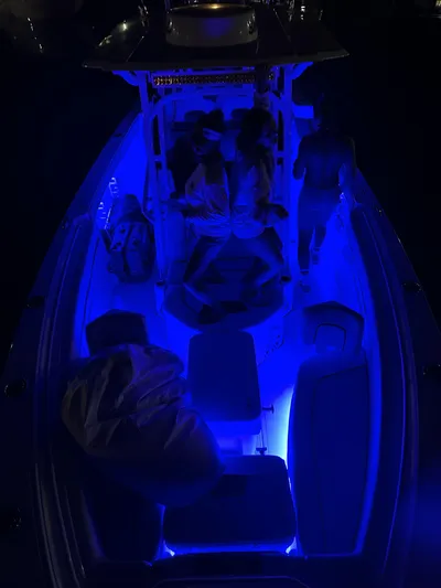 Even Or Odd Yacht Photos Pics 