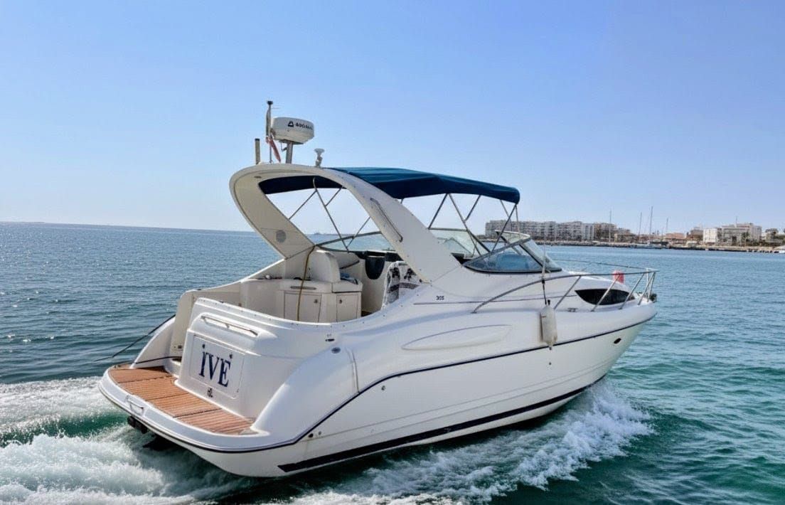 2005 Bayliner Sierra 3055