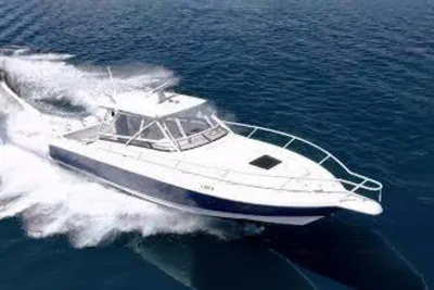 2007 Intrepid 390 Expert