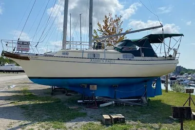 Bayfield 29