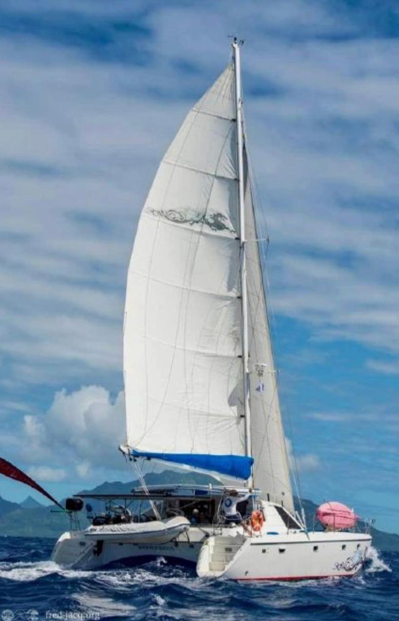 jeantot catamaran for sale