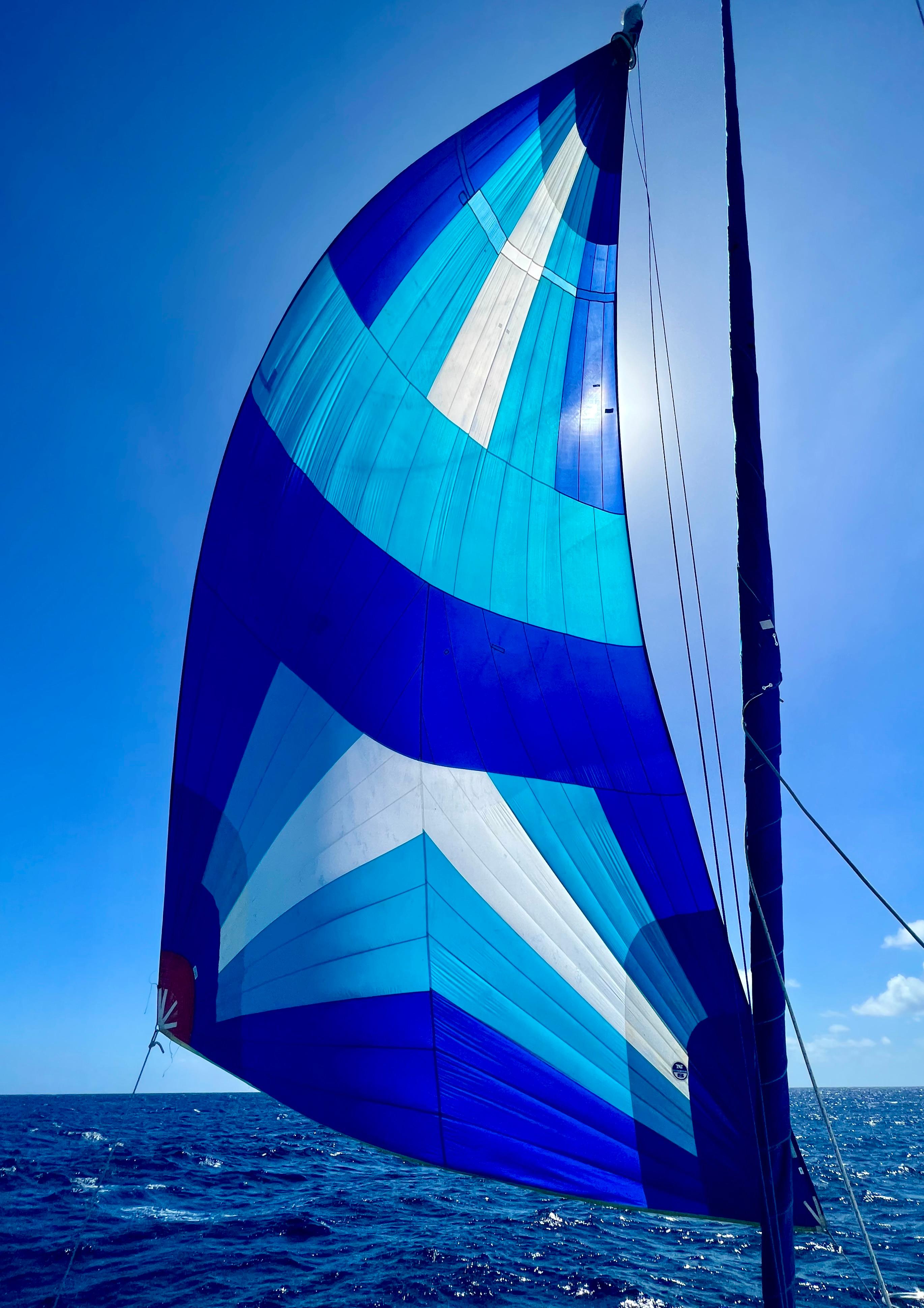 jeantot catamaran for sale