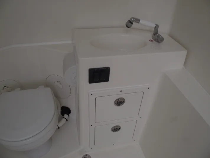  Yacht Photos Pics 2021 Cobia 301 Center Console boat bathroom with sink and toilet.