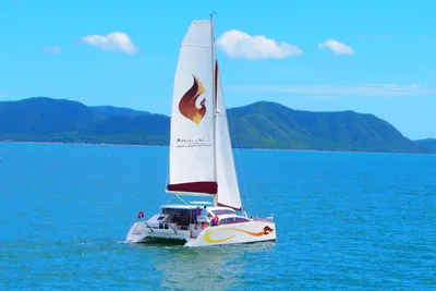 Island Spirit 380E