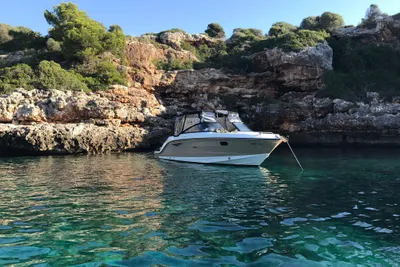 2017 Sea Ray 250 Sun Sport