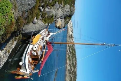 1984 Lemsteraak Felicita - Roefuitvoering