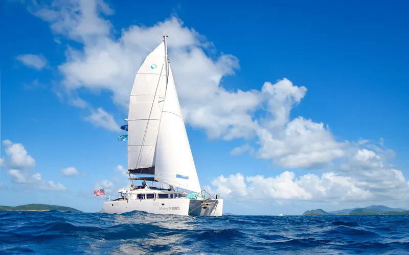 Whiskey Business Yacht Photos Pics 2015 Lagoon 450F catamaran sailing on open sea under clear blue sky.