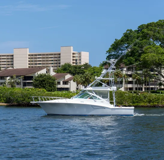 Miss Shell Yacht Photos Pics 2008 Cabo 38 Express boat cruising near waterfront buildings and lush greenery.