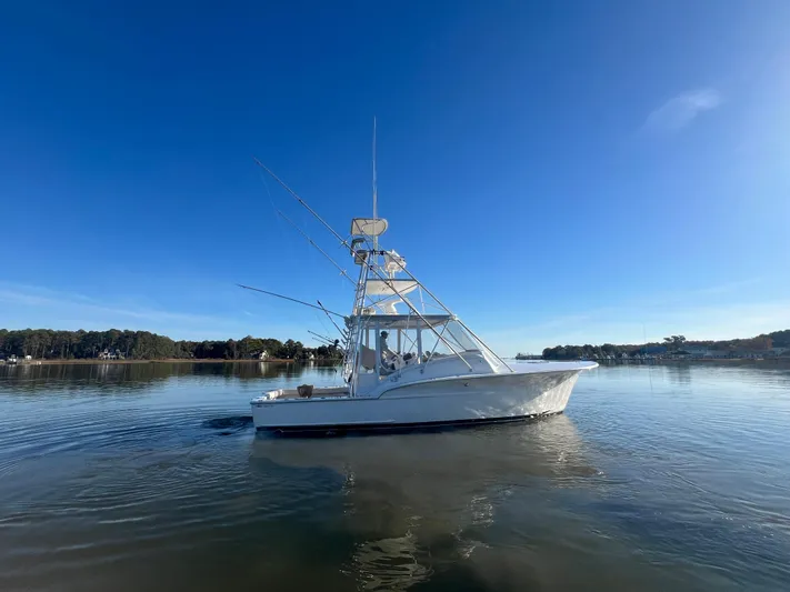 Precedent Yacht Photos Pics 1998 Jersey Cape 36 Express boat on calm water under clear blue sky.