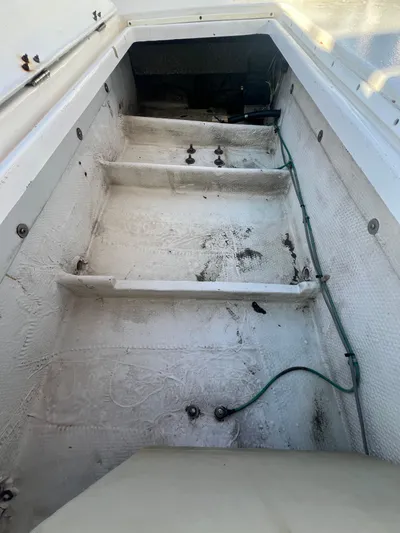 Precedent Yacht Photos Pics 