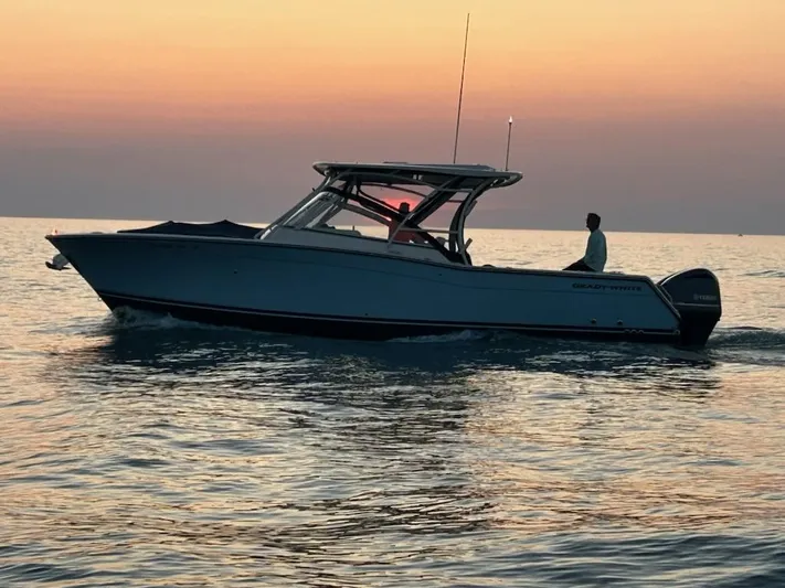 Horse Trader Yacht Photos Pics 