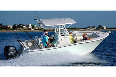 Sea Born SX239 Offshore