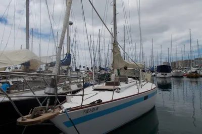 1979 Custom PEARSON40