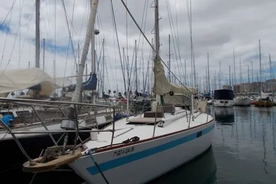 1979 Custom PEARSON40