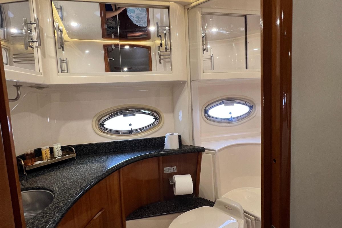 2004 Carver 46 