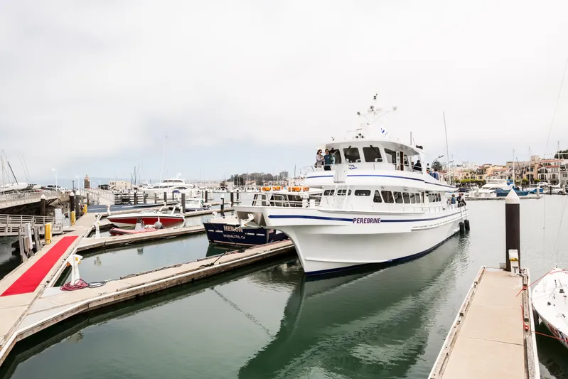 Peregrine Yacht Photos Pics 