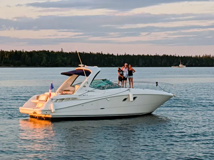  Yacht Photos Pics 2008 Sea Ray 330 Sundancer yacht on calm water at sunset with people on deck.