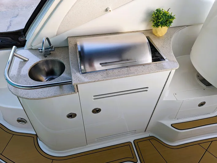  Yacht Photos Pics 2008 Sea Ray 330 Sundancer boat kitchenette with sink, grill, and potted plant.