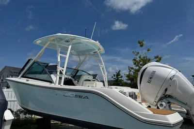 Cobia 240 Dual Console