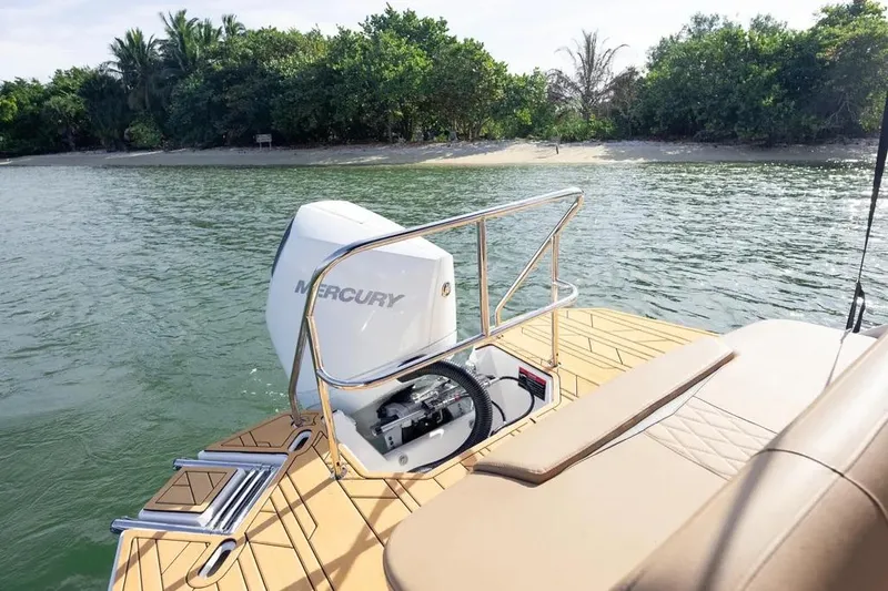  Yacht Photos Pics 2025 Hanover 255 boat with Mercury engine near a tropical shoreline.