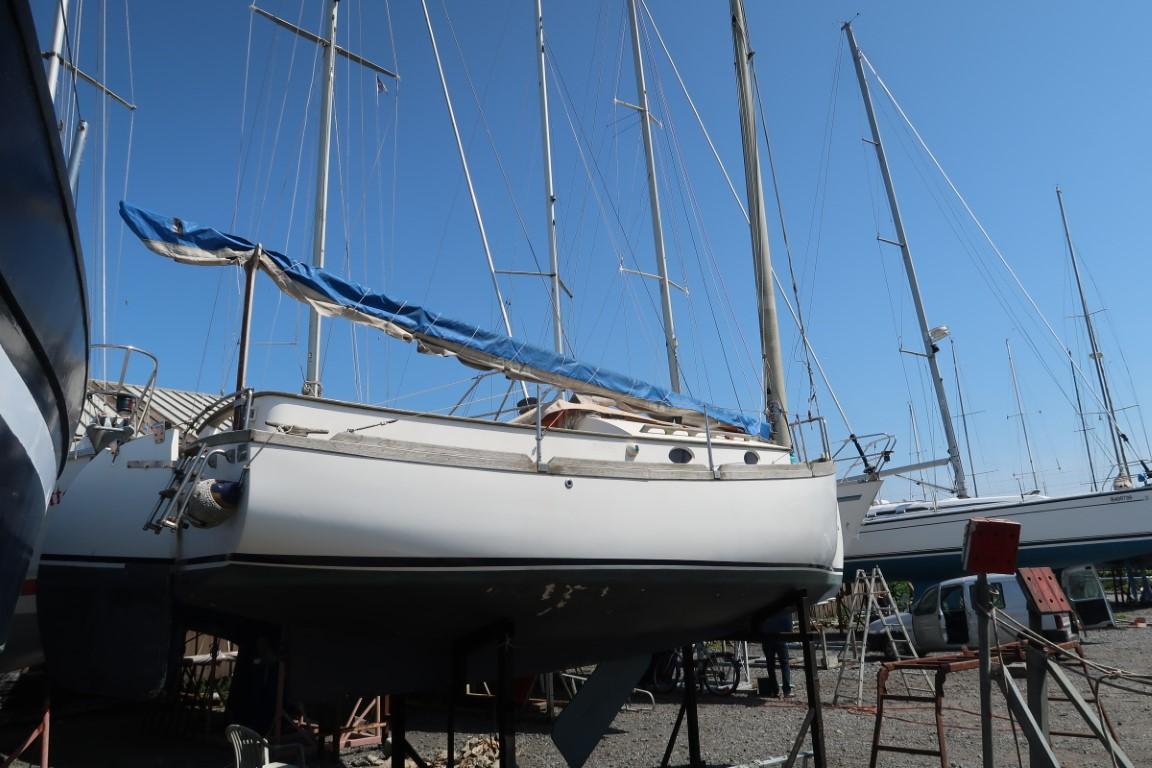 2001 Custom Cardani Difference Dagzeiler