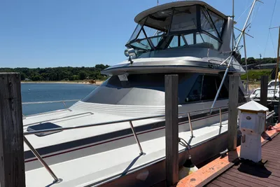 Sea Ray 460 Convertible