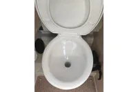 Toilet inside 2022 Saxdor 320 GTO boat, featuring a clean white design.