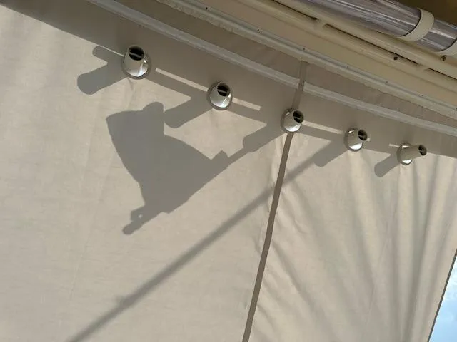 Papa Tuna Yacht Photos Pics 