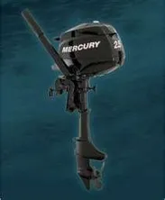 2024 Mercury F 6 Ml