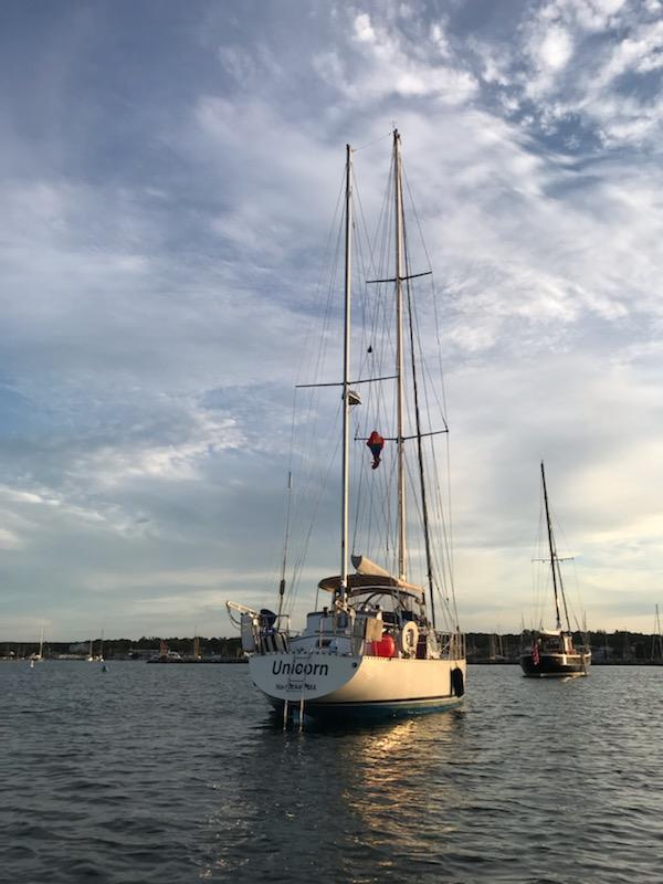 ct 47 sailboat for sale