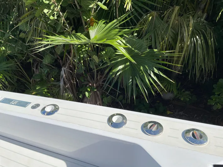White Turtle Yacht Photos Pics 2019 Iguana Commuter boat dashboard with lush green foliage in the background.