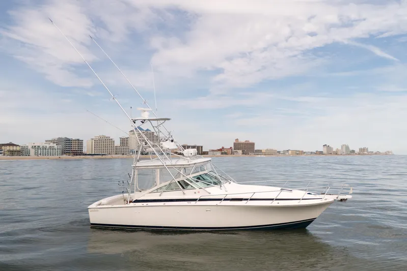 Marlin Spike Yacht Photos Pics 1998 Bertram 36 Moppie boat on calm water with city skyline in background.