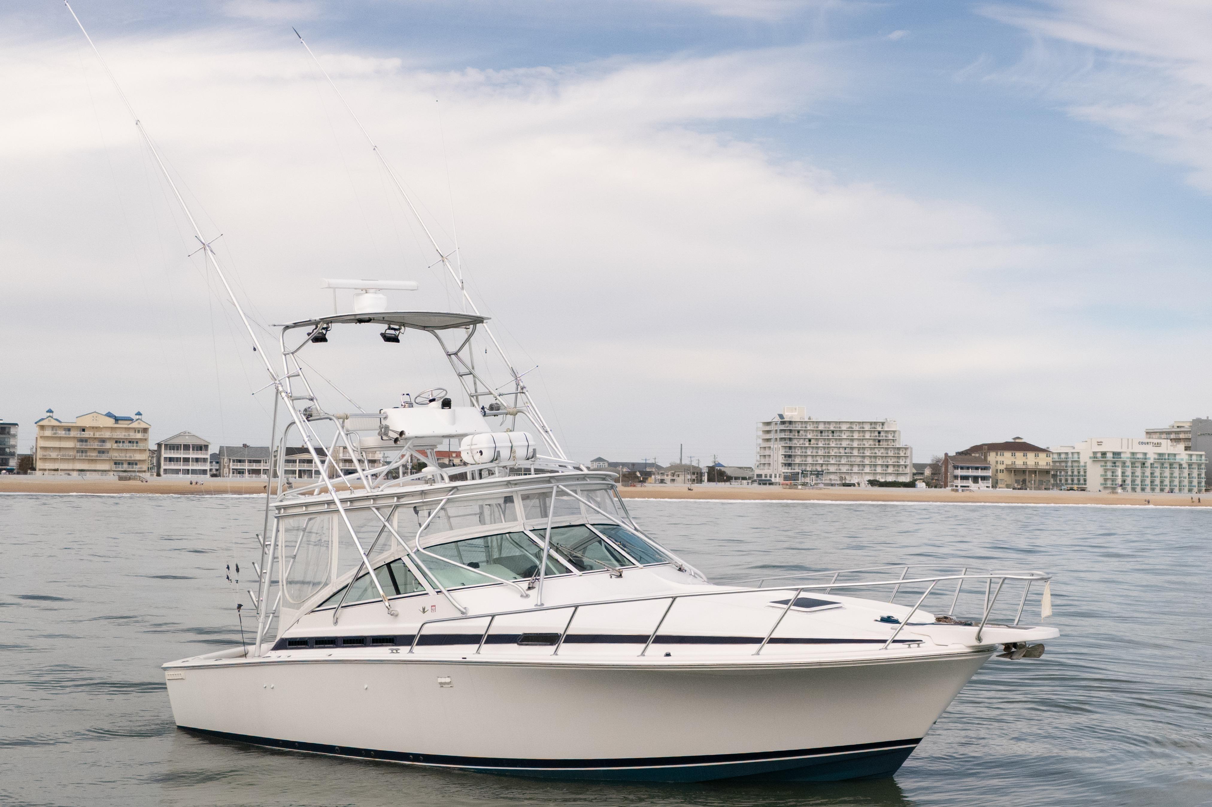 1998 Bertram 36 Moppie boat on calm water near a coastal cityscape.
