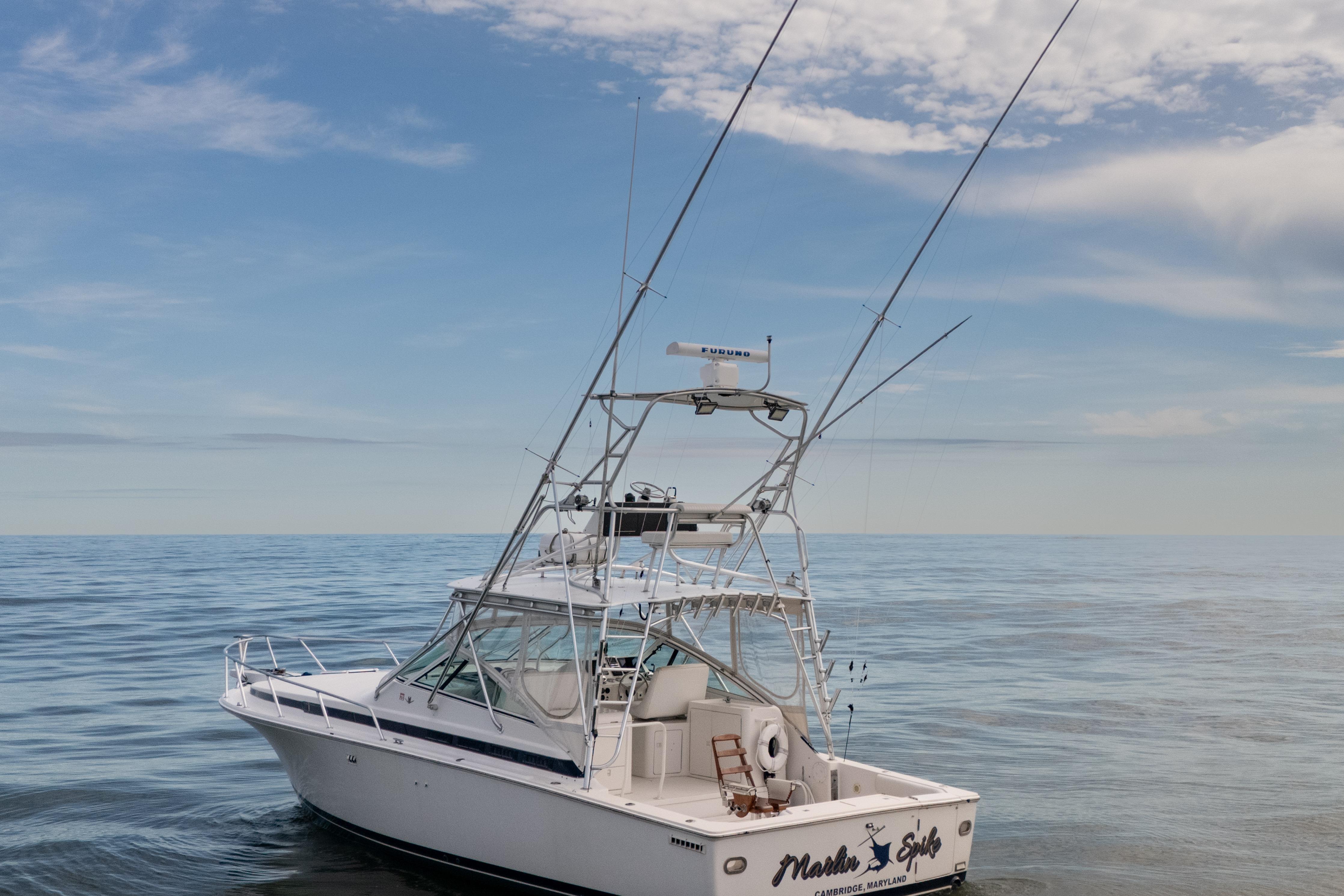 1998 Bertram 36 Moppie boat on calm ocean under blue sky.