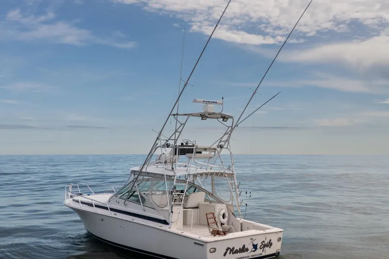 Marlin Spike Yacht Photos Pics 1998 Bertram 36 Moppie boat on calm ocean under blue sky.