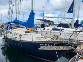Mariner 31