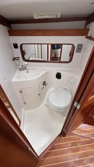 Wasabi Pea Yacht Photos Pics 