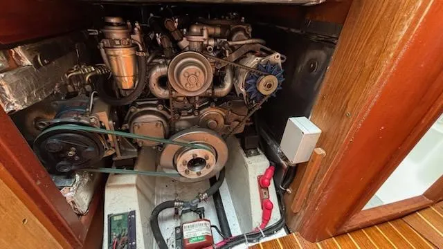 Wasabi Pea Yacht Photos Pics 