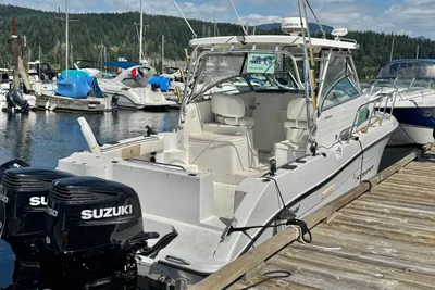 Striper 2901 Walkaround
