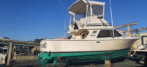 Blackfin 29 Flybridge