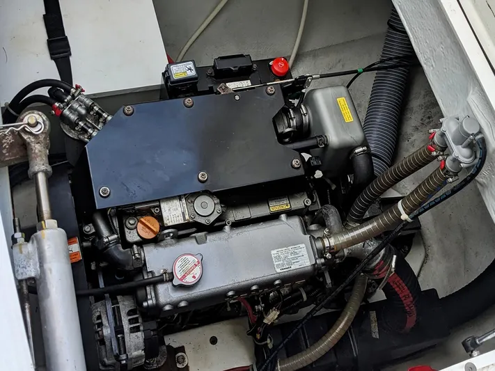 Spring Tradition Yacht Photos Pics 